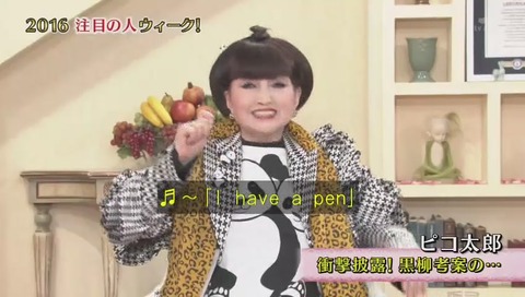 ピコ太郎 徹子の部屋