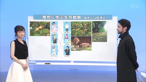 「植物に学ぶ生存戦略2」ウメの生存戦略 イノシシ