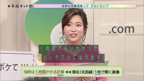 「平成ネット史」画像