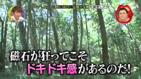 富士の樹海 方位磁石 樹海ツアーなど (44)