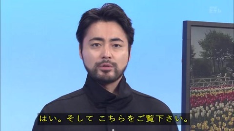 「植物に学ぶ生存戦略2」チューリップ