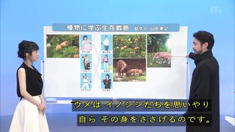 「植物に学ぶ生存戦略2」ウメの生存戦略 イノシシ