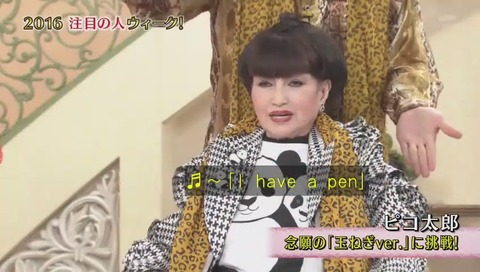 ピコ太郎 徹子の部屋