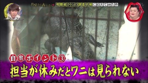 宇都宮動物園 ライオンにさわれる