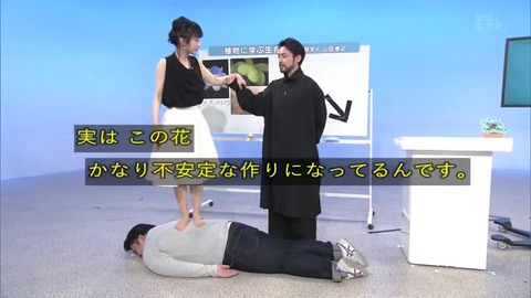 「植物に学ぶ生存戦略2」オオイヌノフグリ