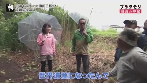 ブラタモリ 富士の樹海 第二回