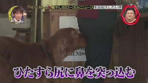 月曜から夜ふかし 女性客 ヴィッツ君
