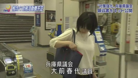 政務活動不正 富山 兵庫 おっぱい (114)