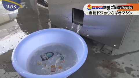 自動どじょう捌きマシン