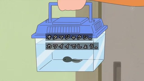 カツオのお見舞いにオタマジャクシを持ってくる堀川くん