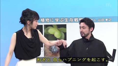 「植物に学ぶ生存戦略2」オオイヌノフグリ