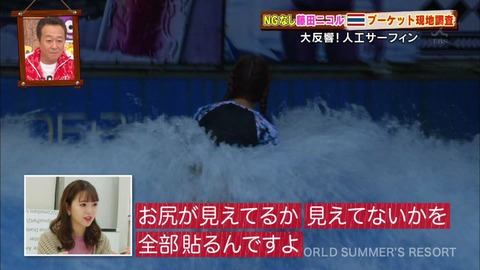 藤田ニコル 水着になると「2chでキャプ画像をコマ撮り」