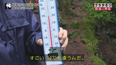 ブラタモリ 富士の樹海 第二回