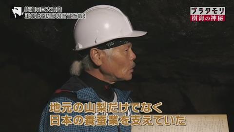 ブラタモリ 富士の樹海 第二回