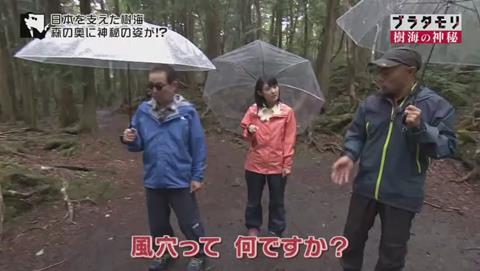 ブラタモリ 富士の樹海 第二回 近江