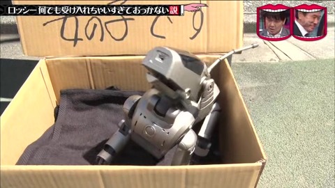水ダウ ロッシー ドッキリ AIBOが捨て犬