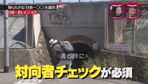 「日本一低いトンネル」 兵庫県 西宮市 甲子園