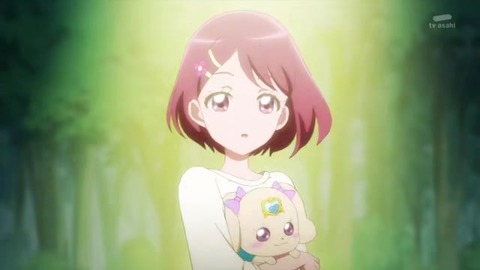 スター☆トゥインクルプリキュア 最終回 次回作「ヒーリングっどプリキュア」主人公 のどか