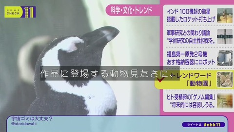 NHKニュースチェック11 けものフレンズ デビュー 