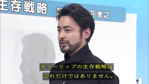 「植物に学ぶ生存戦略2」チューリップ