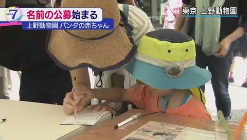 上野動物園 ジャイアントパンダの赤ちゃん 名前募集