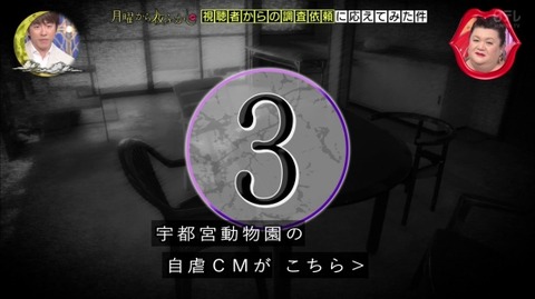 宇都宮動物園 自虐CMを作る その映像