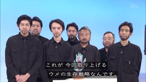 「植物に学ぶ生存戦略2」ウメの生存戦略