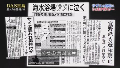 鉄腕DASH サメが出現