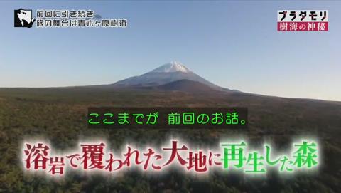 ブラタモリ 富士の樹海 第二回 青木ヶ原の正体