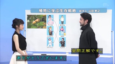 「植物に学ぶ生存戦略2」フレディ・マーキュリー