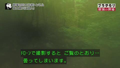 ブラタモリ 富士の樹海 第二回