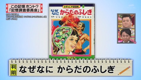 イルカがせめてきたぞっ の画像の真相