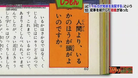 イルカがせめてきたぞっ の画像の真相