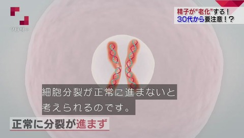 精子DNA