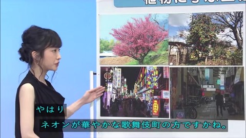 「植物に学ぶ生存戦略2」ウメの生存戦略 たとえ話