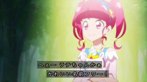 スター☆トゥインクルプリキュア 最終回 次回作 ひかる&のどか 会話