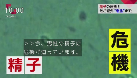 「クローズアップ現代プラス」精子の危機?