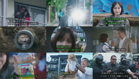 ドラマ『警視庁いきもの係』1話 画像
