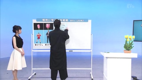 「植物に学ぶ生存戦略2」チューリップ