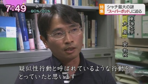 東海大学 大泉宏 教授