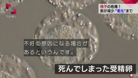 精子の老化