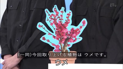 「植物に学ぶ生存戦略2」ウメの生存戦略