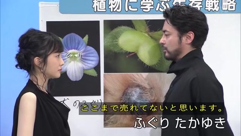 ふぐりたかゆき