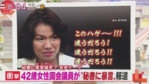 豊田議員「このハゲ」