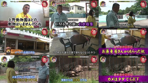 宇都宮動物園 園内にはもらいもののテーブルや動物がいる