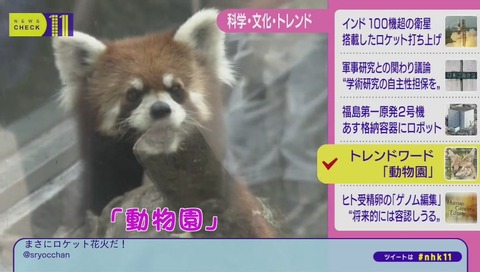 トレンドワード 動物園