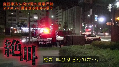 列島警察捜査網THE追跡 自転車蹴り倒し男 CG むせる犯人