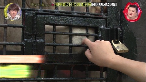 宇都宮動物園 ライオンにさわれる