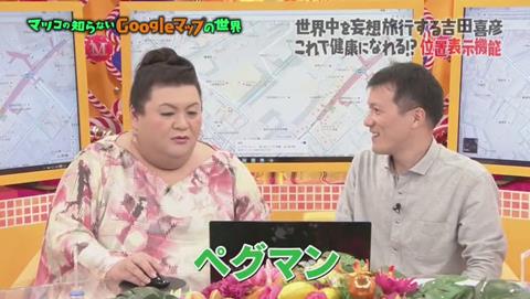 ストリートビュー ペグマン