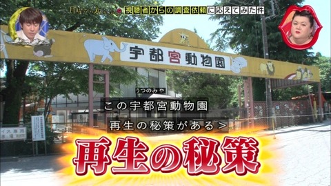 宇都宮動物園 自虐CMを作る